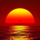 Picture for song '- ThaKardinaLBeats - Waiting for the sunrise -' by artist 'Raydenzbeats'