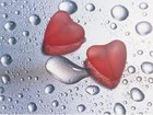 Picture for song 'These Glass Hearts' by artist 'Sammi George'