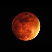 Picture for song 'Longing to Mars' by artist 'Seagull (FMS)'