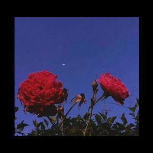 Picture for song 'Base de rap boombap triste / sad' by artist 'Stc Beats VB'