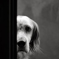 Picture for song 'Sorry....' by artist 'stefanos grigoriadis'