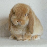 Picture for song 'PSYCHO II' by artist 'swerve tweeter'