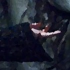 Picture for song 'Moon and Shadows' by artist 'Titus Undead'