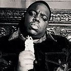 Picture for song '**NEW** EVERYDAY STRUGGLE - BIGGIE!!! **FREE DL**' by artist 'TY THA ARTIST'