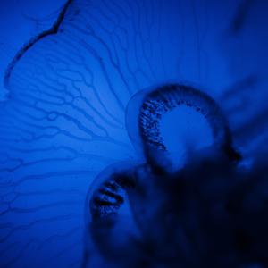 Picture for song '"Im There" Beat for Sale' by artist 'whoDeanyBeatz'