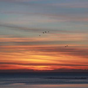 Picture for song 'We Wavy [QP x Yp x Whodeany]' by artist 'whoDeanyBeatz'