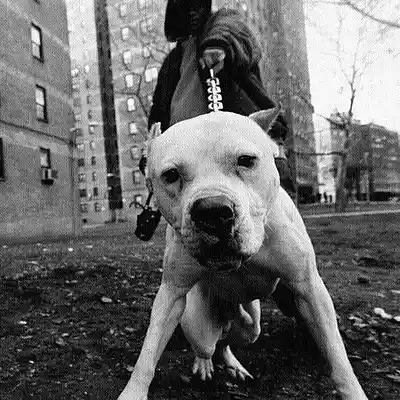 Picture for song 'Somi' by artist 'Br Beat'