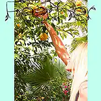 Picture for song 'Feather' by artist 'Jenelle'
