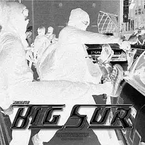Picture for song 'Big Sur' by artist 'JWH018'