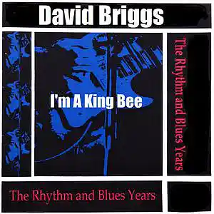 Picture for song '3. King Bee ('Live')' by artist 'Major Snagg'