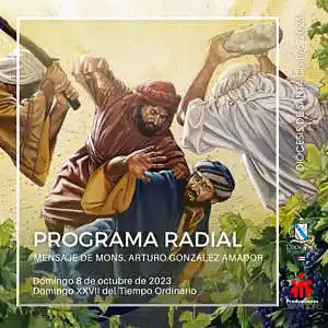 Picture for song 'Domingo XXVII del tiempo Ordinario 8 de octubre' by artist 'Producciones Vandor'
