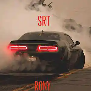 Picture for song 'Srt' by artist 'Rony'