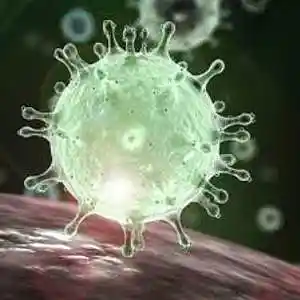 Picture for song 'Corona Virus' by artist 'Thomas von Zig'
