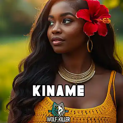 Picture for song 'KINAME- Zouk Instrumental 2026 x Kizomba Type Beat' by artist 'Wolf KillerBeats'