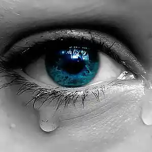 Picture for song 'Lament' by artist 'Ucancallmeal'