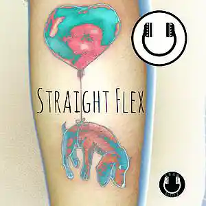 Picture for song 'Straight Flex - Instrumental' by artist 'Beats by BruceDayne'
