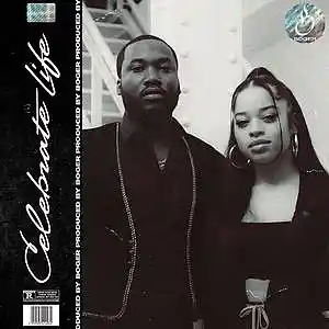 Picture for song 'Celebrate Life (Smooth Hip Hop Type Beat)' by artist 'BOGER'