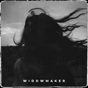 Picture for song 'Widowmaker' by artist 'Erawy'