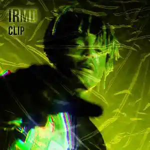 Picture for song 'CLIP * JUICE WRLD x LIL SKIES Type Beat *' by artist 'IRMD'