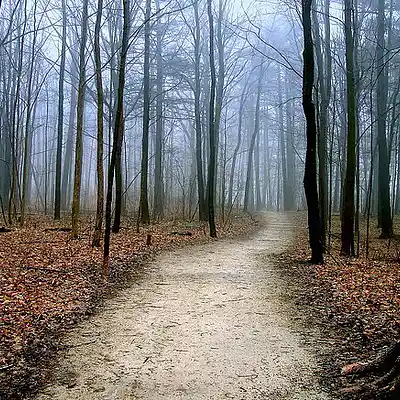 Picture for song 'Walk with me' by artist 'littlegreenman'