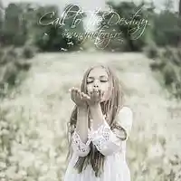 Picture for song 'Call To The Destiny' by artist 'Sound Factory Records'