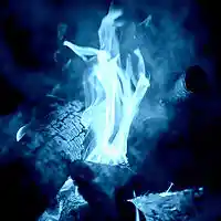 Picture for song 'The Plan ' by artist 'Stan Alter'