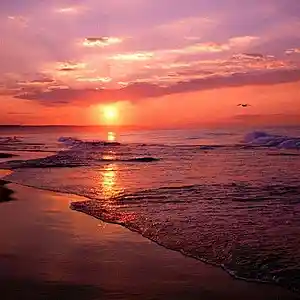 Picture for song 'Hard Trap Type Beat - "Sunny Isle"' by artist 'ProdByLemm'