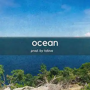 Picture for song 'Ocean' by artist 'Tolove'