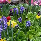 Picture for song 'In the Garden - Hymn' by artist 'Vic and Eva Zarley'