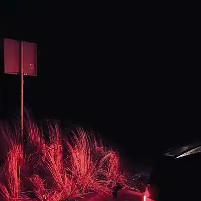 Picture for song '"Real One " Beat for Sale' by artist 'whoDeanyBeatz'