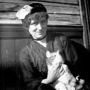 Picture for song 'Nocturne' by artist 'Ylva Lund Bergner'