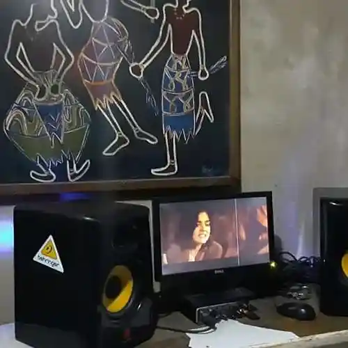 Picture for song 'Enemy Killer mubvumbi' by artist 'Cleo Waynie Music'