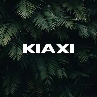 Picture for song '"KIAXI" Badoxa X Yuri da Cunha Type Beat' by artist 'Deejay Show Producer'