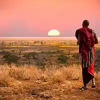 Picture for song 'Sunset Tropical House Remix' by artist 'Djextha'