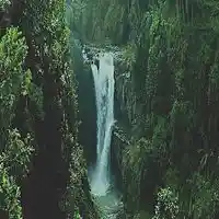 Song picture