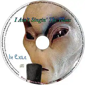 Picture for song 'If We Can Work It All Out' by artist 'In Exile'