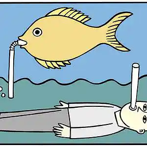 Picture for song 'How To Drown A Fish' by artist 'Pete Moss and the Weed Wackers'