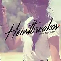 Picture for song 'SOLD - Heartbreaker' by artist 'Robin Wesley'