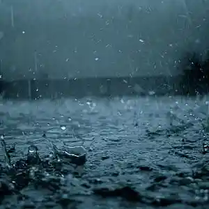Picture for song 'Rainy' by artist 'Rolan'