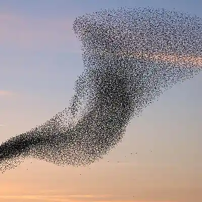 Picture for song 'Look At The' by artist 's9undV1ZNZ K 0 D 3 7'