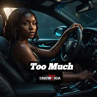 Picture for song 'Too much' by artist 'snowziga'