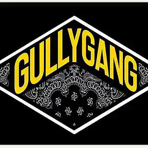 Picture for song 'Gully (Gully Gang x Divine x Naezy Type Beat)' by artist 'SoupBeats'