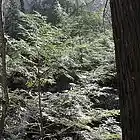 Picture for song 'Freedom & Spiritekk - Defeat Tha Poison' by artist 'SPIRITEKK'