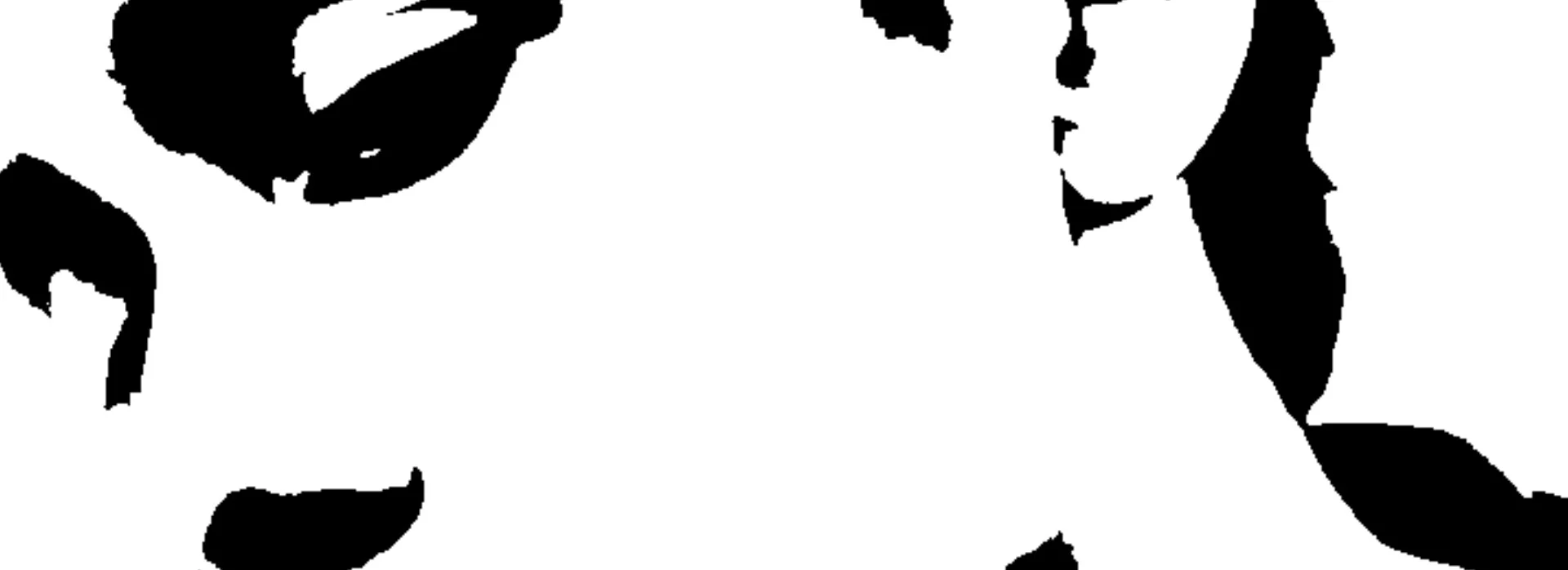 cover pic