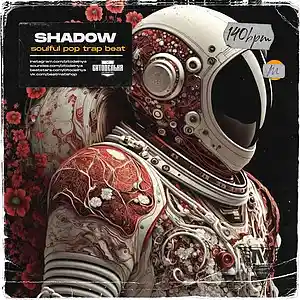 Picture for song 'Shadow' by artist 'BITODELNYA'