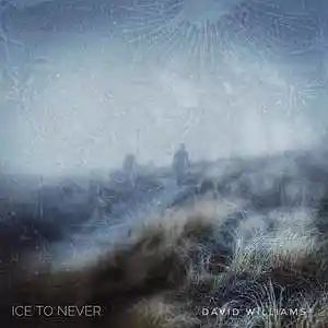 Picture for song 'Ice to Never' by artist 'Seeking Planets In The Dust'
