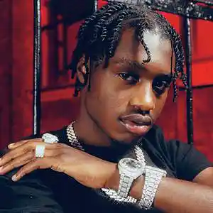 Picture for song 'Lil Tjay X Jay Critch Type Beat' by artist 'ErieBeats'