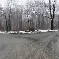 Picture for song 'Where Is My Highway' by artist 'Leonard Scaper'