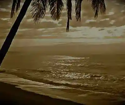 Picture for song 'MY IVORY COAST' by artist 'Mackie Humphries'