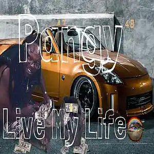 Picture for song 'Live My Life' by artist 'pangy'